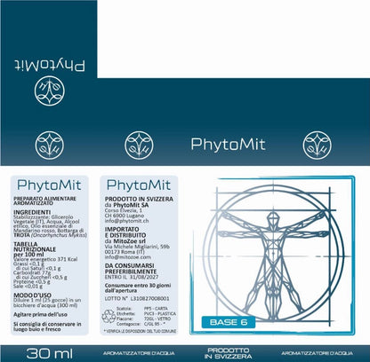 PHYTOMIT Base 6